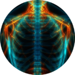 systemic health graphic
